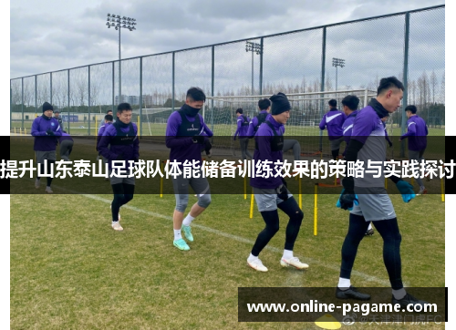 提升山东泰山足球队体能储备训练效果的策略与实践探讨