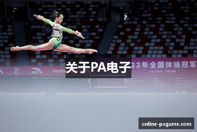 关于PA电子
